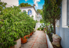JFE Mallorca | Här vill du bo. | Real Estate