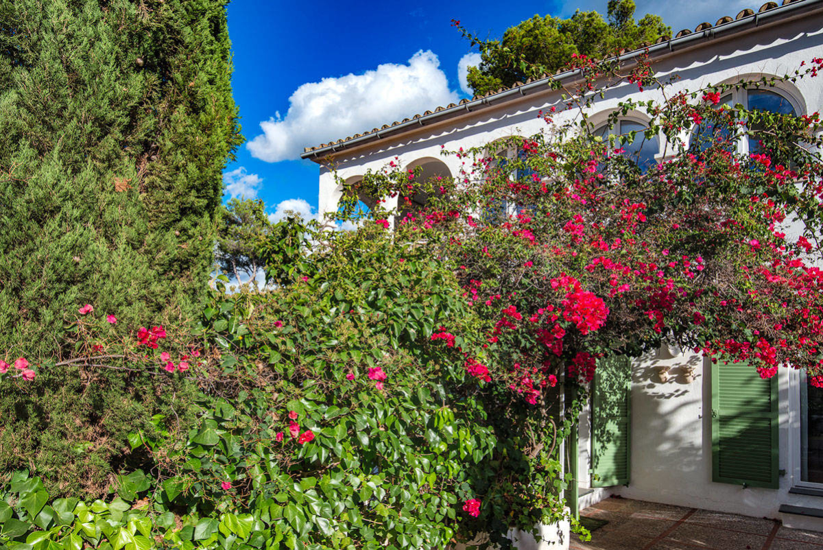 JFE Mallorca | Här vill du bo. | Real Estate